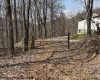 15400 US 250 Highway, Philippi, West Virginia 26416, ,Lots/land,For Sale,US 250,10158816