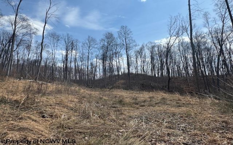 15400 US 250 Highway, Philippi, West Virginia 26416, ,Lots/land,For Sale,US 250,10158816