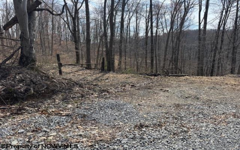 15400 US 250 Highway, Philippi, West Virginia 26416, ,Lots/land,For Sale,US 250,10158816