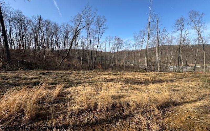 15400 US 250 Highway, Philippi, West Virginia 26416, ,Lots/land,For Sale,US 250,10158816