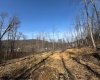 15400 US 250 Highway, Philippi, West Virginia 26416, ,Lots/land,For Sale,US 250,10158816