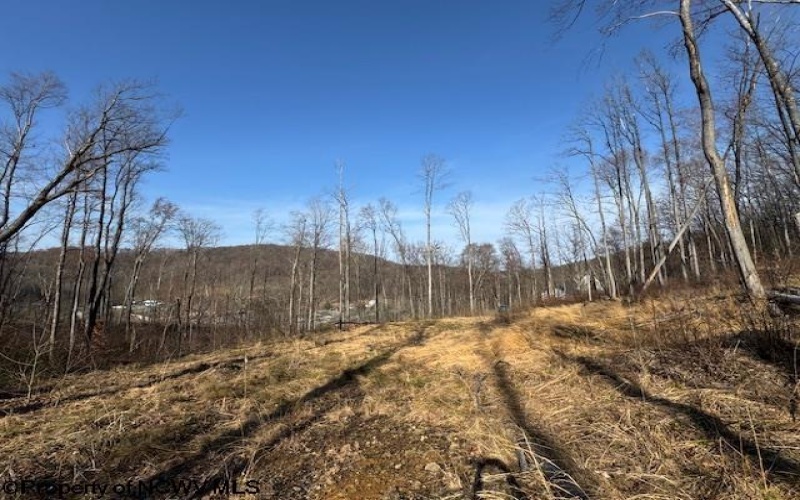 15400 US 250 Highway, Philippi, West Virginia 26416, ,Lots/land,For Sale,US 250,10158816