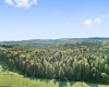 1303 Sinks Road, Harman, West Virginia 26270, ,Lots/land,For Sale,Sinks,10145750