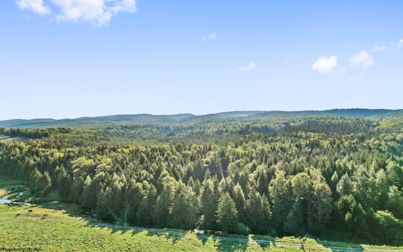 1303 Sinks Road, Harman, West Virginia 26270, ,Lots/land,For Sale,Sinks,10145750