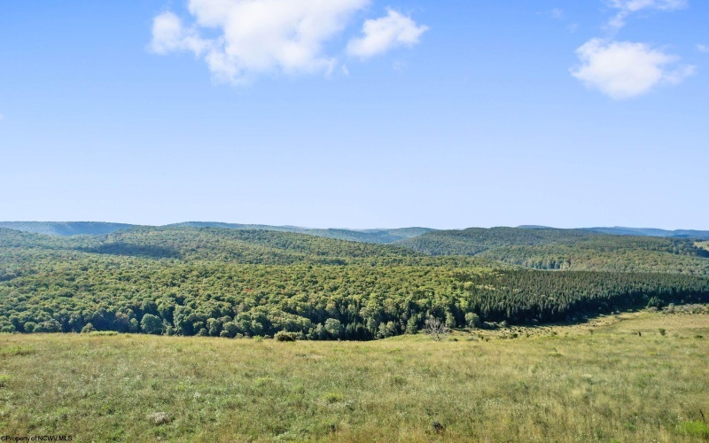 1303 Sinks Road, Harman, West Virginia 26270, ,Lots/land,For Sale,Sinks,10145750