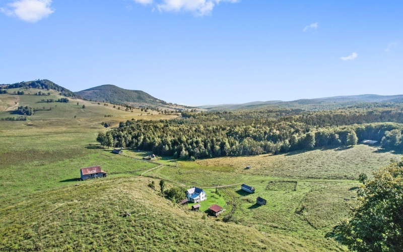 1303 Sinks Road, Harman, West Virginia 26270, ,Lots/land,For Sale,Sinks,10145750