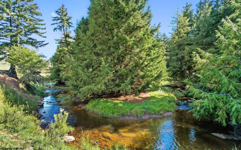1303 Sinks Road, Harman, West Virginia 26270, ,Lots/land,For Sale,Sinks,10145750