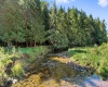 1303 Sinks Road, Harman, West Virginia 26270, ,Lots/land,For Sale,Sinks,10145750