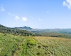 1303 Sinks Road, Harman, West Virginia 26270, ,Lots/land,For Sale,Sinks,10145750