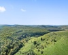 1303 Sinks Road, Harman, West Virginia 26270, ,Lots/land,For Sale,Sinks,10145750