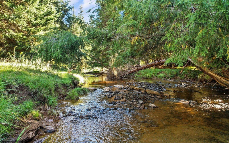 1303 Sinks Road, Harman, West Virginia 26270, ,Lots/land,For Sale,Sinks,10145750