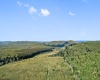 1303 Sinks Road, Harman, West Virginia 26270, ,Lots/land,For Sale,Sinks,10145750