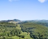 1303 Sinks Road, Harman, West Virginia 26270, ,Lots/land,For Sale,Sinks,10145750