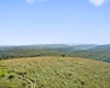 1303 Sinks Road, Harman, West Virginia 26270, ,Lots/land,For Sale,Sinks,10145750
