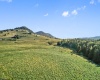 1303 Sinks Road, Harman, West Virginia 26270, ,Lots/land,For Sale,Sinks,10145750