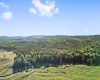 1303 Sinks Road, Harman, West Virginia 26270, ,Lots/land,For Sale,Sinks,10145750