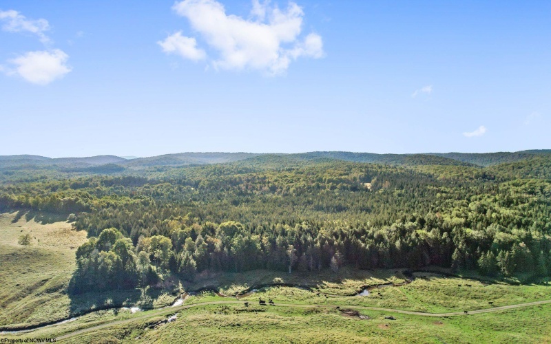 1303 Sinks Road, Harman, West Virginia 26270, ,Lots/land,For Sale,Sinks,10145750