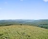 1303 Sinks Road, Harman, West Virginia 26270, ,Lots/land,For Sale,Sinks,10145750