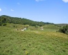 1303 Sinks Road, Harman, West Virginia 26270, ,Lots/land,For Sale,Sinks,10145750