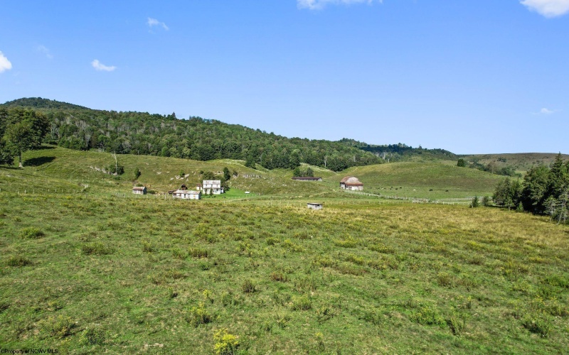 1303 Sinks Road, Harman, West Virginia 26270, ,Lots/land,For Sale,Sinks,10145750