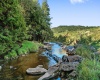 1303 Sinks Road, Harman, West Virginia 26270, ,Lots/land,For Sale,Sinks,10145750