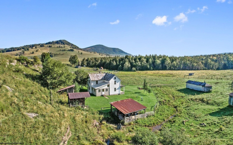1303 Sinks Road, Harman, West Virginia 26270, ,Lots/land,For Sale,Sinks,10145750