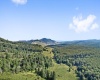 1303 Sinks Road, Harman, West Virginia 26270, ,Lots/land,For Sale,Sinks,10145750