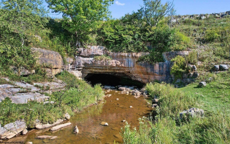 1303 Sinks Road, Harman, West Virginia 26270, ,Lots/land,For Sale,Sinks,10145750