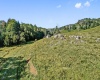 1303 Sinks Road, Harman, West Virginia 26270, ,Lots/land,For Sale,Sinks,10145750