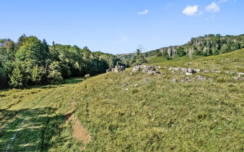 1303 Sinks Road, Harman, West Virginia 26270, ,Lots/land,For Sale,Sinks,10145750