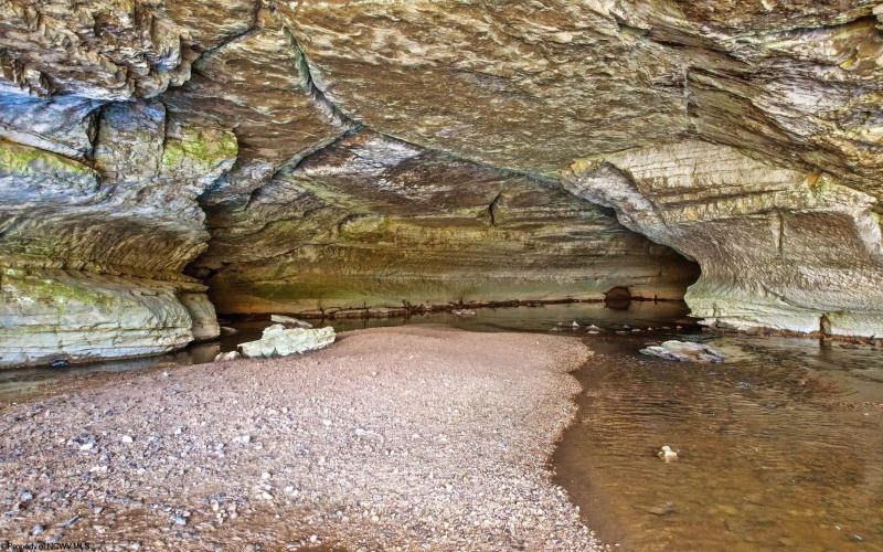 1303 Sinks Road, Harman, West Virginia 26270, ,Lots/land,For Sale,Sinks,10145750