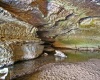 1303 Sinks Road, Harman, West Virginia 26270, ,Lots/land,For Sale,Sinks,10145750