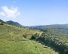 1303 Sinks Road, Harman, West Virginia 26270, ,Lots/land,For Sale,Sinks,10145750