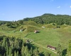 1303 Sinks Road, Harman, West Virginia 26270, ,Lots/land,For Sale,Sinks,10145750