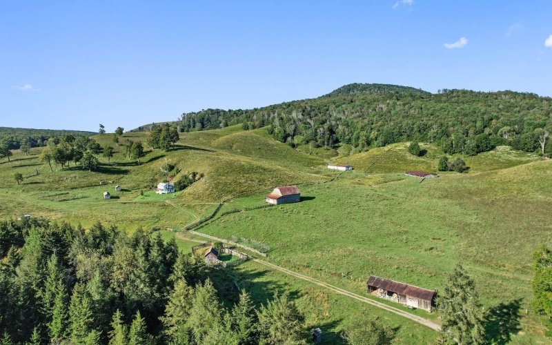 1303 Sinks Road, Harman, West Virginia 26270, ,Lots/land,For Sale,Sinks,10145750