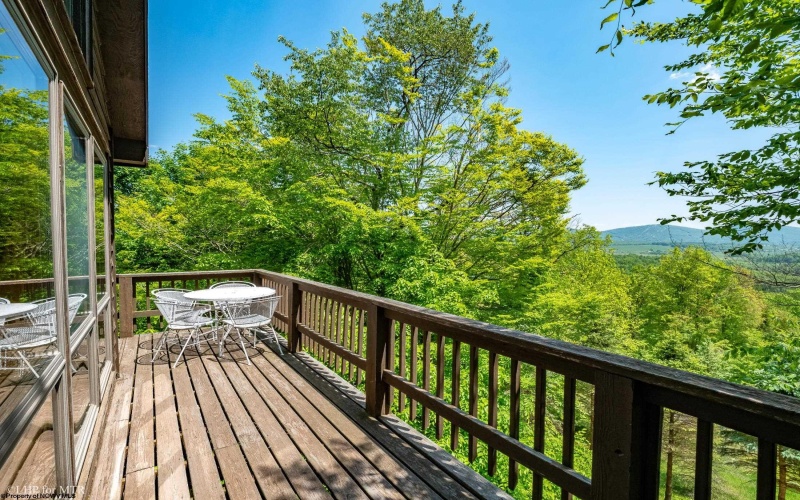 65 Snow Run Road, Davis, West Virginia 26260, 3 Bedrooms Bedrooms, 5 Rooms Rooms,2 BathroomsBathrooms,Single Family Detached,For Sale,Snow Run,10154800