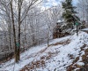 65 Snow Run Road, Davis, West Virginia 26260, 3 Bedrooms Bedrooms, 5 Rooms Rooms,2 BathroomsBathrooms,Single Family Detached,For Sale,Snow Run,10154800