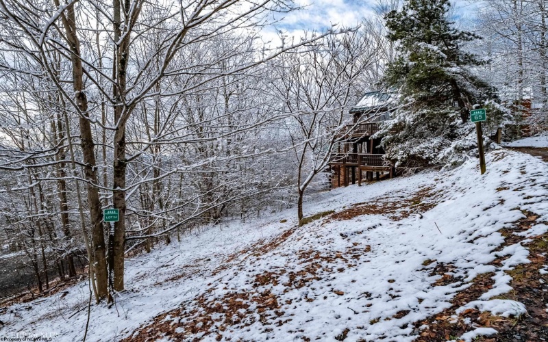 65 Snow Run Road, Davis, West Virginia 26260, 3 Bedrooms Bedrooms, 5 Rooms Rooms,2 BathroomsBathrooms,Single Family Detached,For Sale,Snow Run,10154800