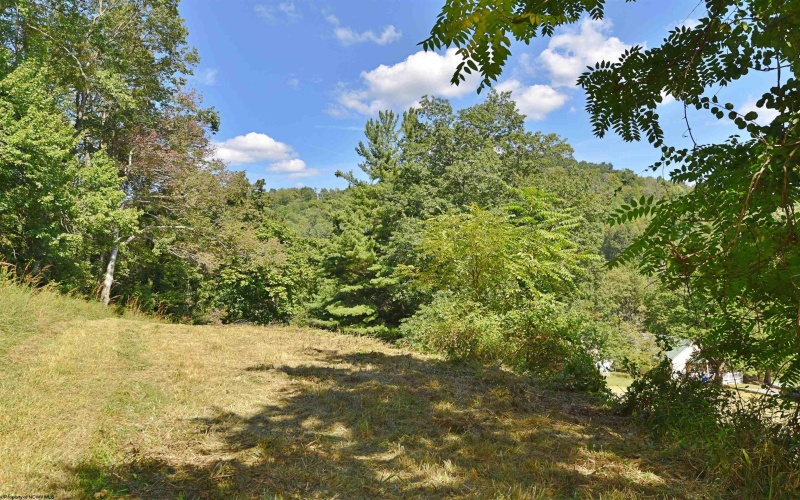 Lot 108 Richmond Avenue, Grafton, West Virginia 26354, ,Lots/land,For Sale,Richmond,10161332