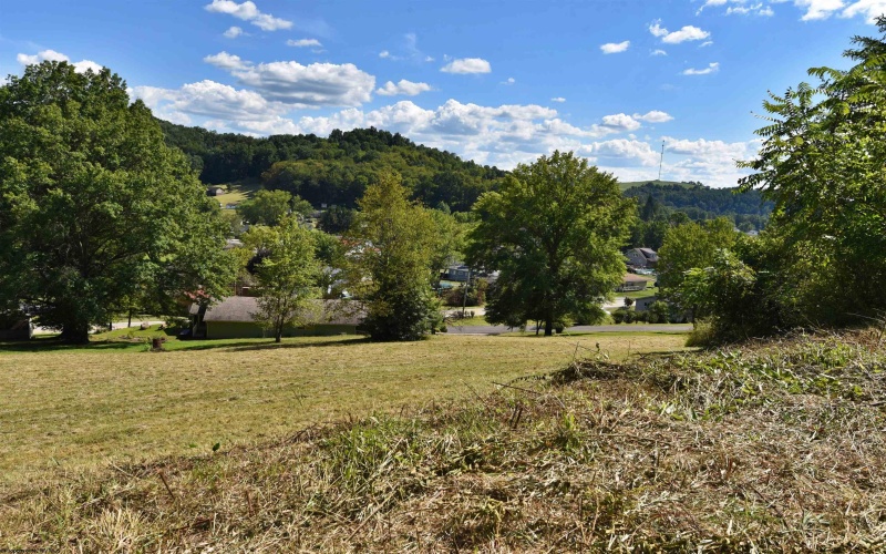 Lot 108 Richmond Avenue, Grafton, West Virginia 26354, ,Lots/land,For Sale,Richmond,10161332