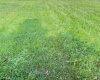 TBD Henderson Avenue, Clarksburg, West Virginia 26301, ,Lots/land,For Sale,Henderson,10161328
