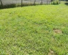 TBD Henderson Avenue, Clarksburg, West Virginia 26301, ,Lots/land,For Sale,Henderson,10161328