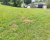 TBD Henderson Avenue, Clarksburg, West Virginia 26301, ,Lots/land,For Sale,Henderson,10161328
