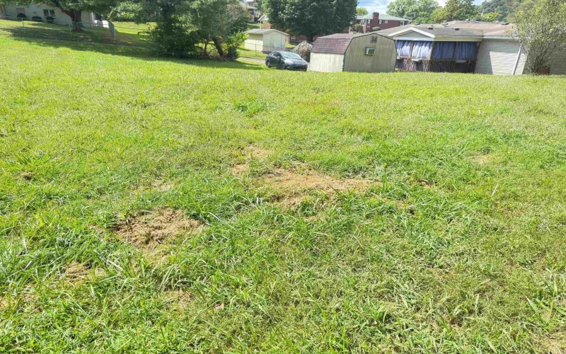 TBD Henderson Avenue, Clarksburg, West Virginia 26301, ,Lots/land,For Sale,Henderson,10161328