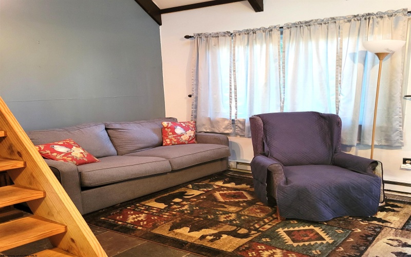 20 Pendletonheim Circle, Davis, West Virginia 26260, 1 Bedroom Bedrooms, 3 Rooms Rooms,1 BathroomBathrooms,Single Family Attached,For Sale,Pendletonheim,10161366