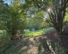 109 Knapp Street, Elkins, West Virginia 26241, ,Lots/land,For Sale,Knapp,10161352