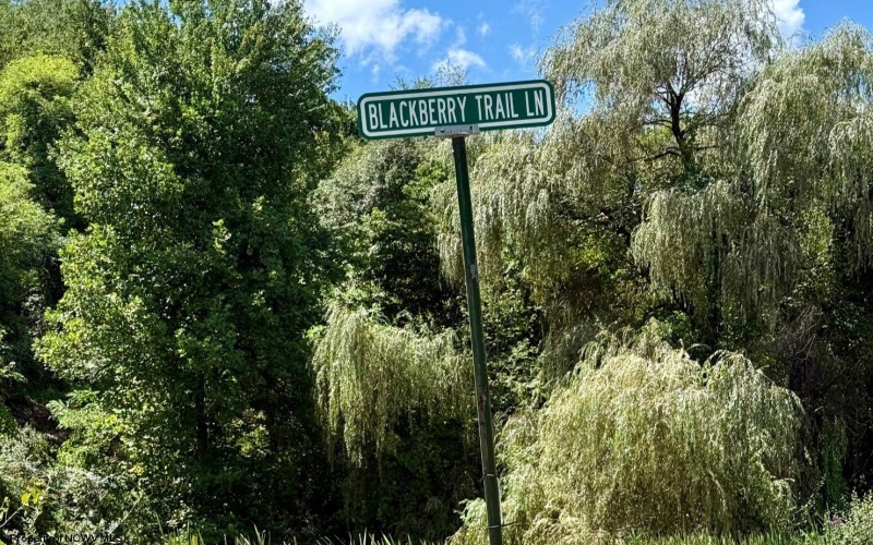 Lot 5 Brooklyn Way, Moatsville, West Virginia 26405, ,Lots/land,For Sale,Brooklyn,10161361