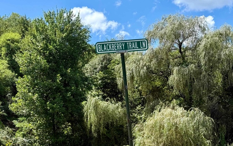 Lot 5 Brooklyn Way, Moatsville, West Virginia 26405, ,Lots/land,For Sale,Brooklyn,10161361