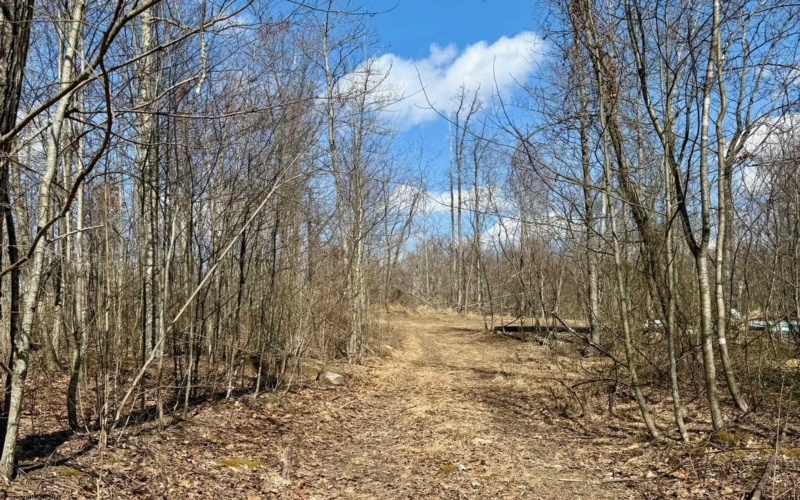 Lot 5 Brooklyn Way, Moatsville, West Virginia 26405, ,Lots/land,For Sale,Brooklyn,10161361