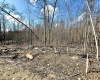 Lot 3 Brooklyn Way, Moatsville, West Virginia 26405, ,Lots/land,For Sale,Brooklyn,10161351
